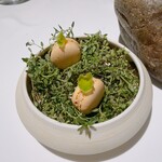 ラ・ヴァガボンド - 