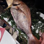 スガラボヴィー - 