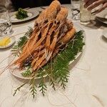 スガラボヴィー - 