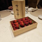 スガラボヴィー - 