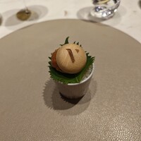 スガラボヴィー - 