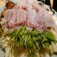 とらふぐ亭 新宿別館 - 