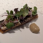 プレヴナンス - 