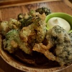 PUB TAP+  - 