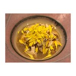 イタリア料理 今井 - 