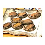 イタリア料理 今井 - 