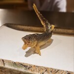 日本橋 蕎ノ字 - 