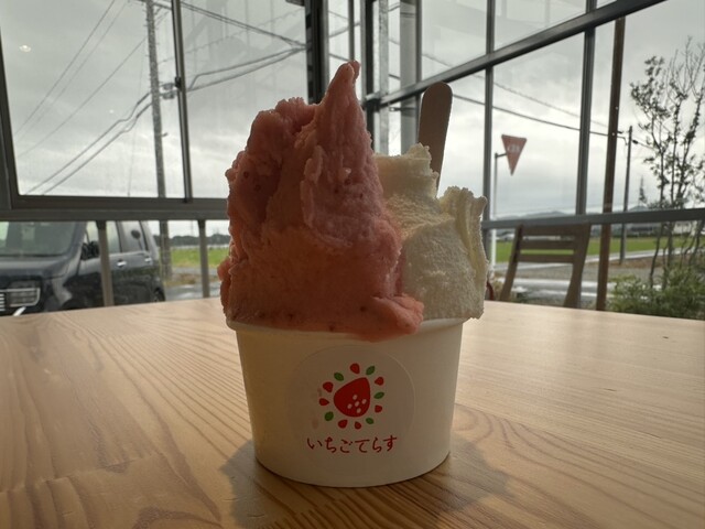 いちごてらす （ichigo terrace） - 桜木/ジェラート・アイスクリーム