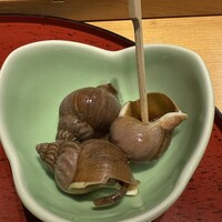 すし屋のさい藤 札幌本店 - 