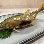 旬菜和味 - 子持ち鮎塩焼き