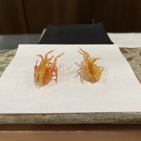 天白 - 