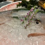 博多もつ鍋前田屋 西中洲店 - 