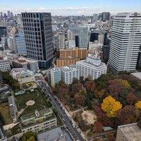 ベッラ・ヴィスタ - 