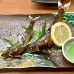 親爺 - 鮎塩焼き（小矢部川・熊野川）