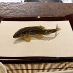 京都祇園 天ぷら八坂圓堂 - 