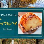 十和田湖マリンブルー - 