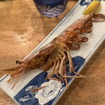 夜ノ焼魚 ちょーちょむすび - 