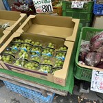 高原やきとうもろこし - 