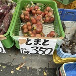 高原やきとうもろこし - 