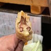 串揚げ専門店 コテツ