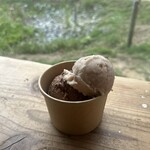SUNNYSIDE FIELDS - いちじくとカカオのアイス(トッピング前)