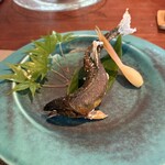 飛騨季節料理 肴 - 