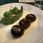 ドス・ガトス - 