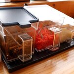 とん吉家 - とん吉家 藤野店 - 2025年夏