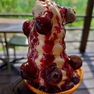 ぶるーべりーガーデンカフェ_0