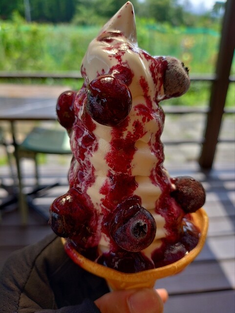 ぶるーべりーガーデンカフェ - 男鹿（カフェ）の写真