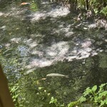 手打そば 時屋 - 