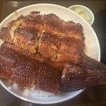 炭火職人 うなみ - 