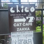 chico Cat cafe - 