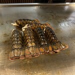 鉄板 暖 - オマール