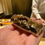 くろ﨑 - これぞ秋刀魚寿司