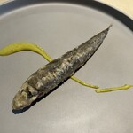 tangent - アミューズ