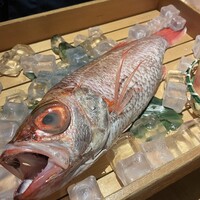 のどぐろ専門 銀座 中俣 -  のどぐろ専門 銀座 中俣 -