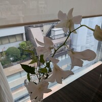 BLT STEAK GINZA - 