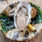光る海 - 生牡蠣 大