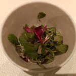 メゾン ポール・ボキューズ - 別皿のマイクロハーブサラダ