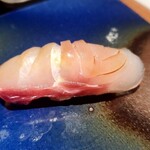 すし 碧海 - シマアオダイ