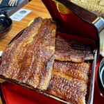 炭焼 うな富士 大阪梅田店 - 特上うな重