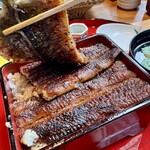 炭焼 うな富士 - この量にビックリ