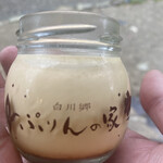 白川郷 ぷりんの家 - 