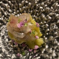 メルモーゾ ダ ドロカワ - 