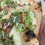 薪焼きピッツァ パッシオーネ - 燻製鯖と長ネギのピッツアはこんな感じ