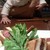 洋食 泉