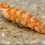 銀座 鮨 しょう介 - 車海老