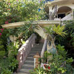 アイスクリンカフェ アーク - これが入口。植物たちが絡まりあい、南国らしい景観を形作っています