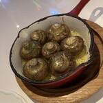 Cafe & Bar NOCTILUCA  - 